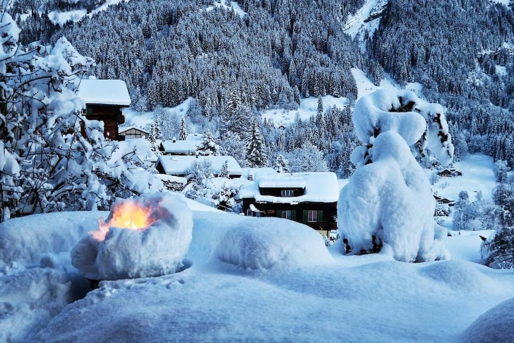 Chalet Morgane Grindelwald Kültér fotó